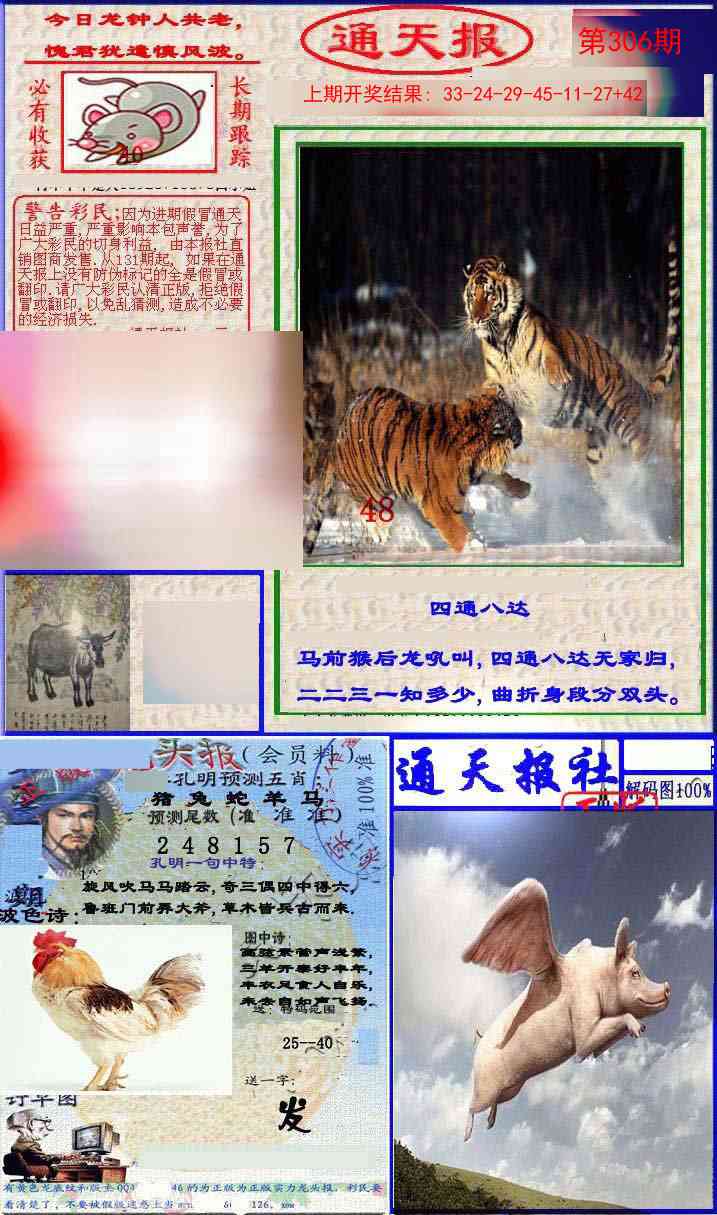 306期实力通天报[图]