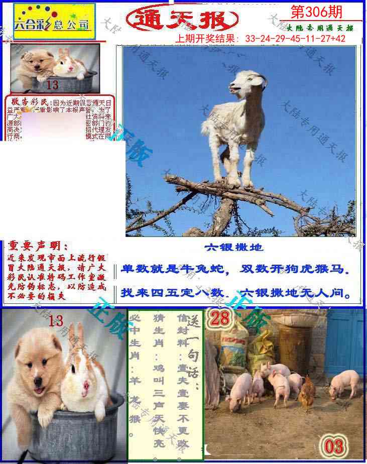 306期大陆通天报[图]