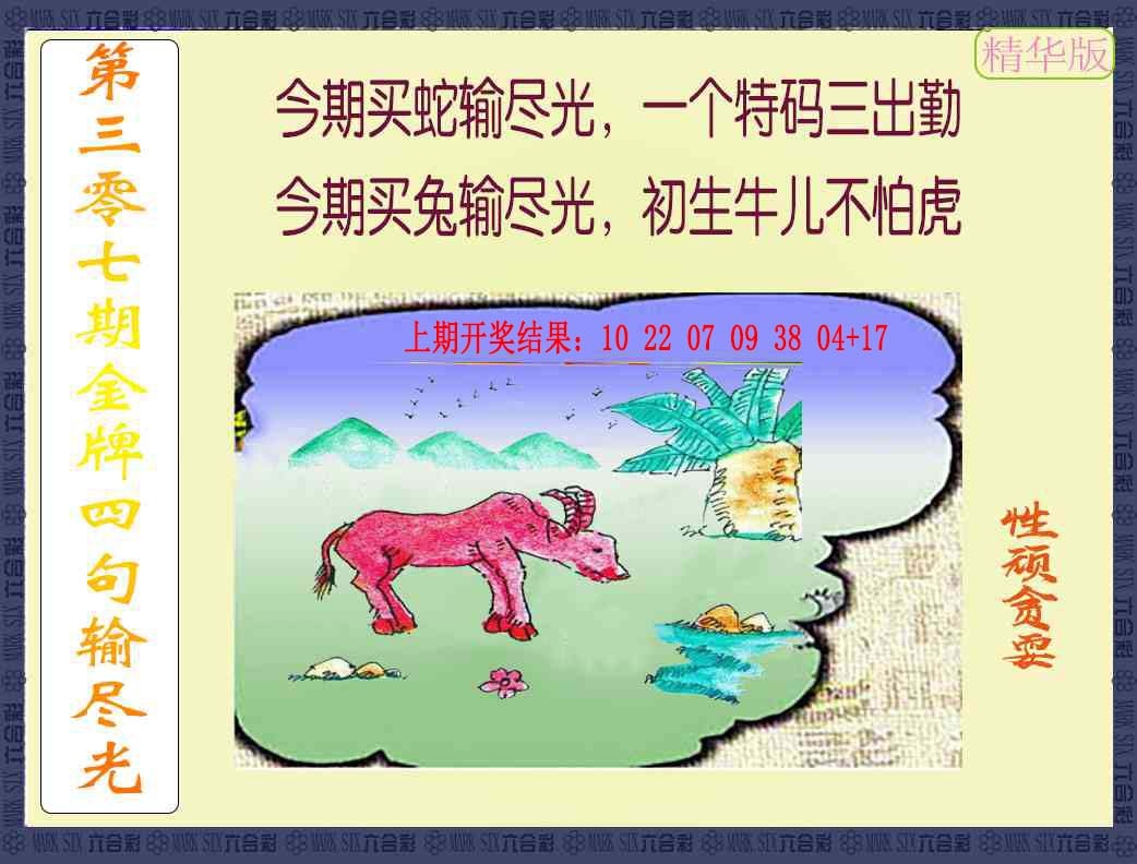 307期金牌四句输尽光[图]