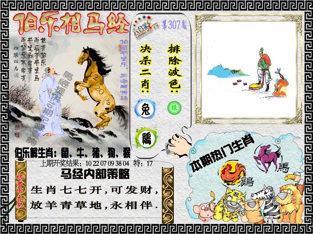 307期伯乐相马经[图]