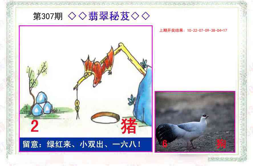 307期翡翠报[图]