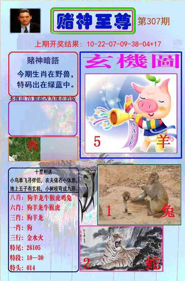 307期赌神至尊[图]