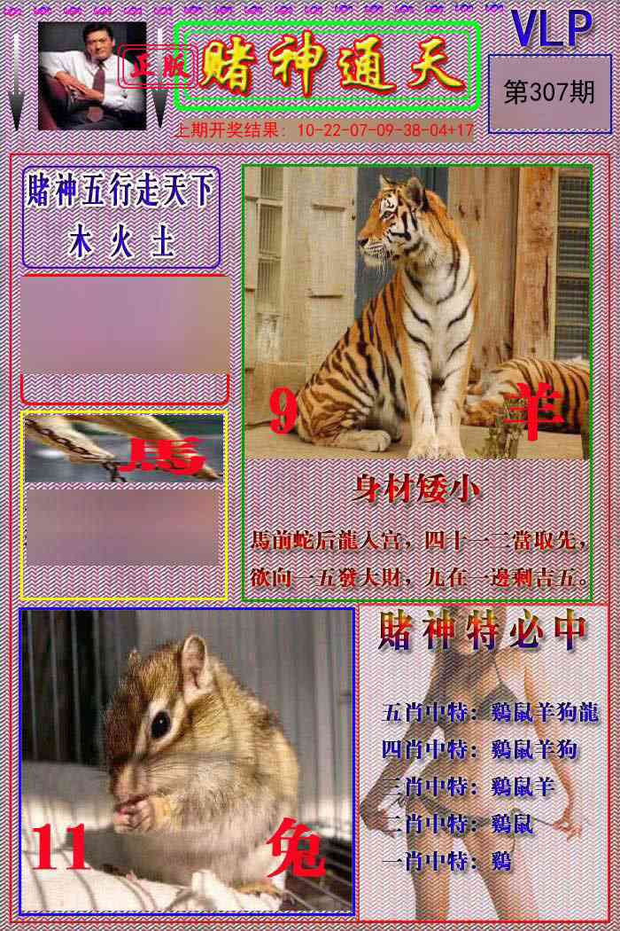 307期赌神通天报[图]