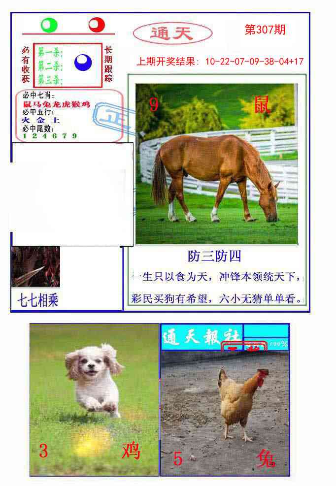 307期通天杀波图2[图]