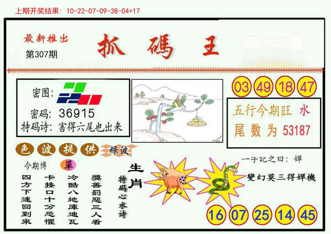 307期抓码王[图]