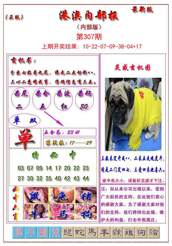 307期港澳报[图]