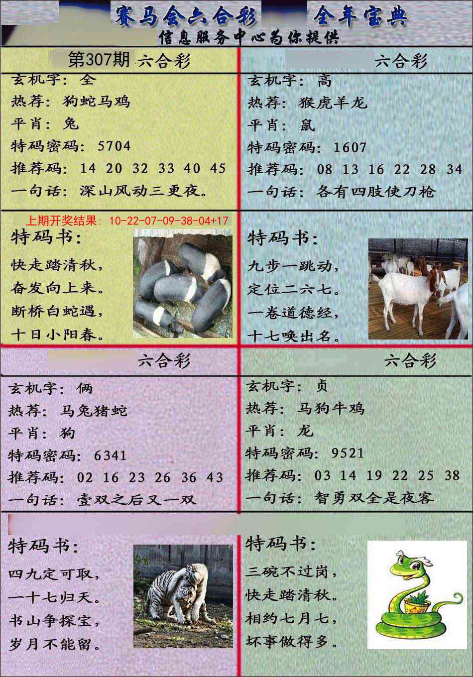 307期宝典报[图]