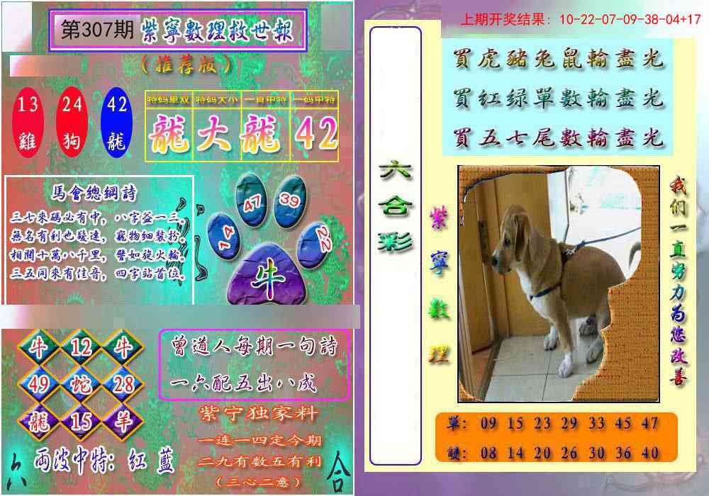 307期数理救世报[图]