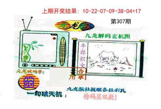 307期九龙报[图]