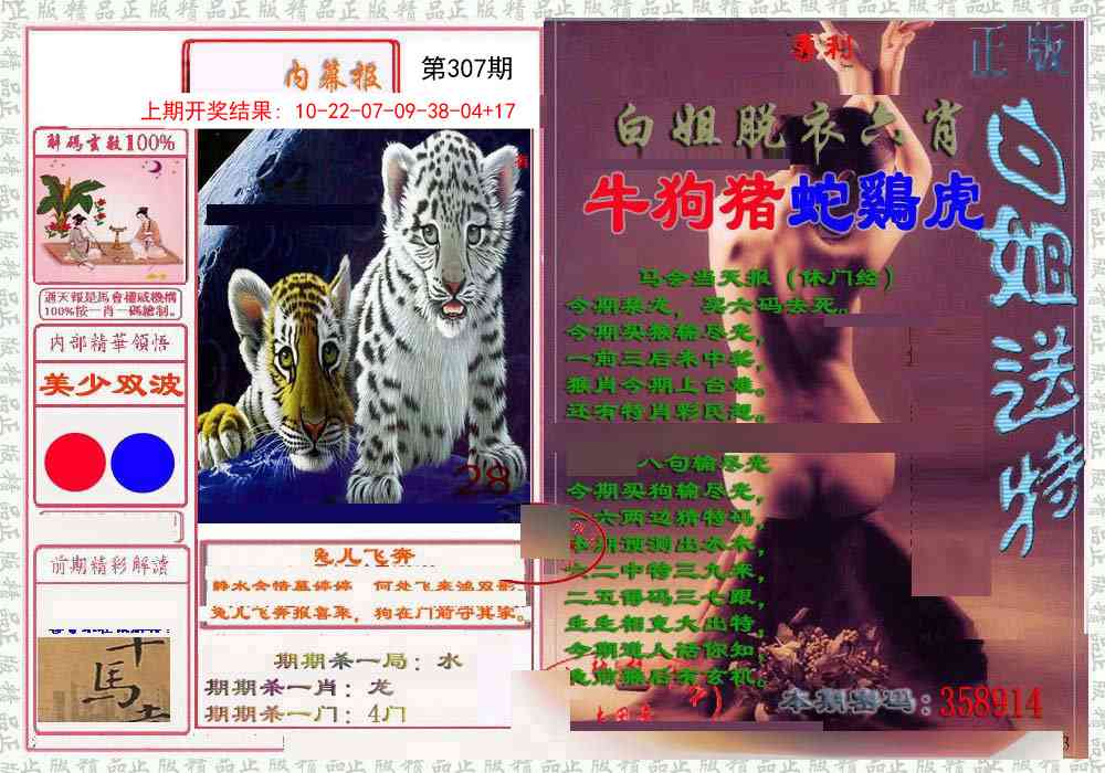 307期日月内幕报[图]