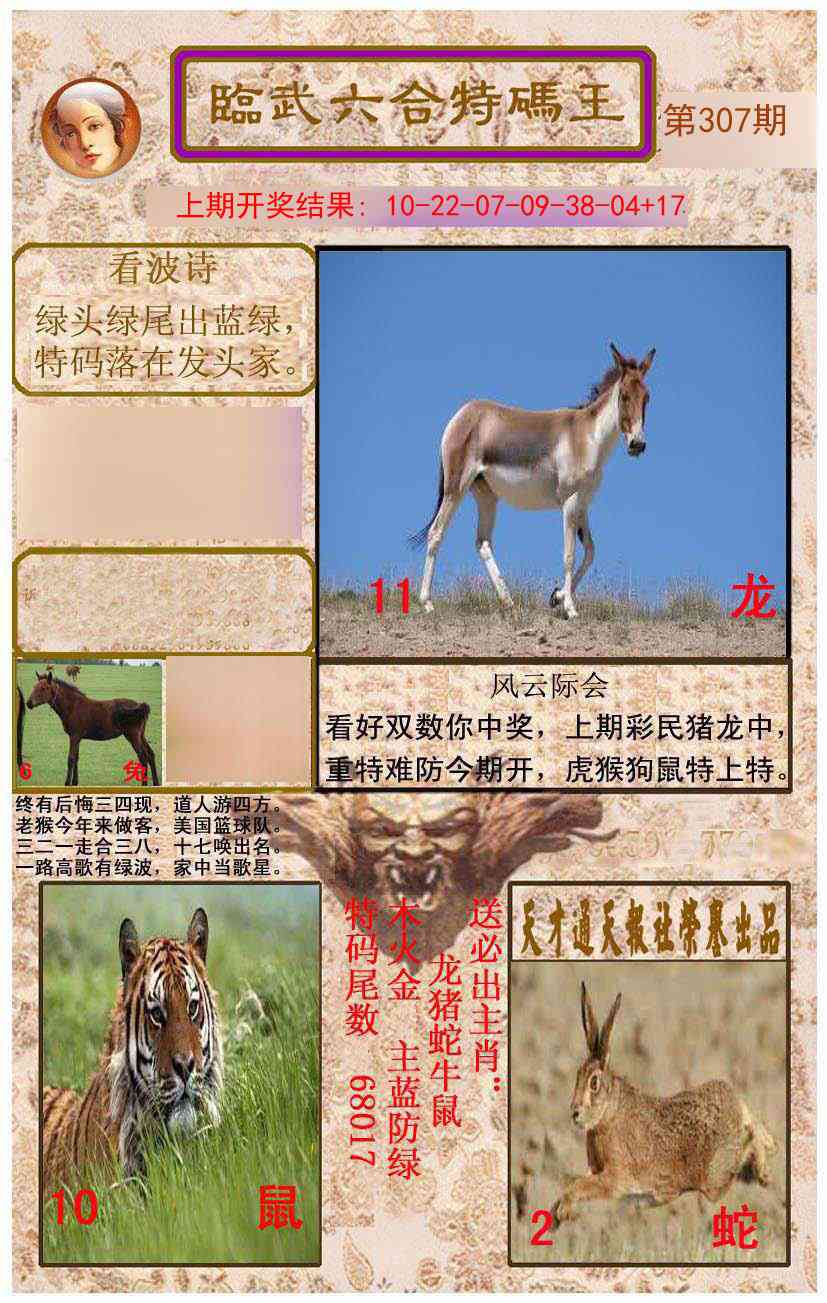 307期临武六合特码王[图]