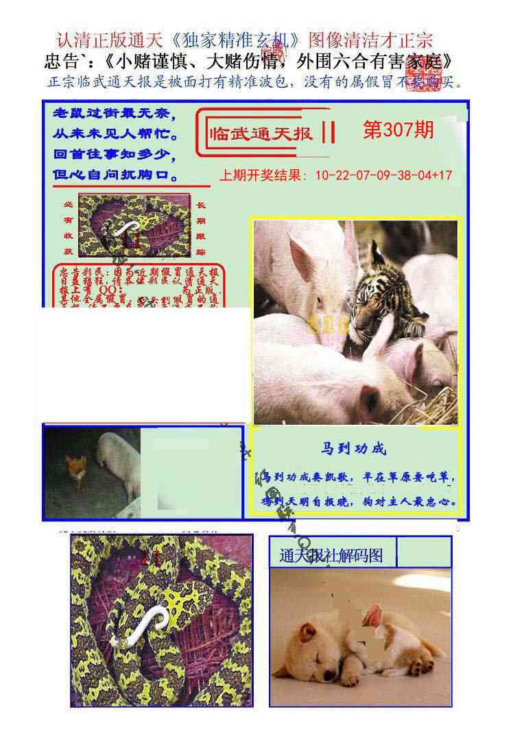 307期临武通天报[图]