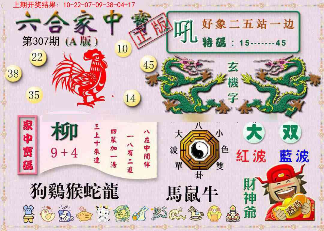 307期六合家中宝A[图]