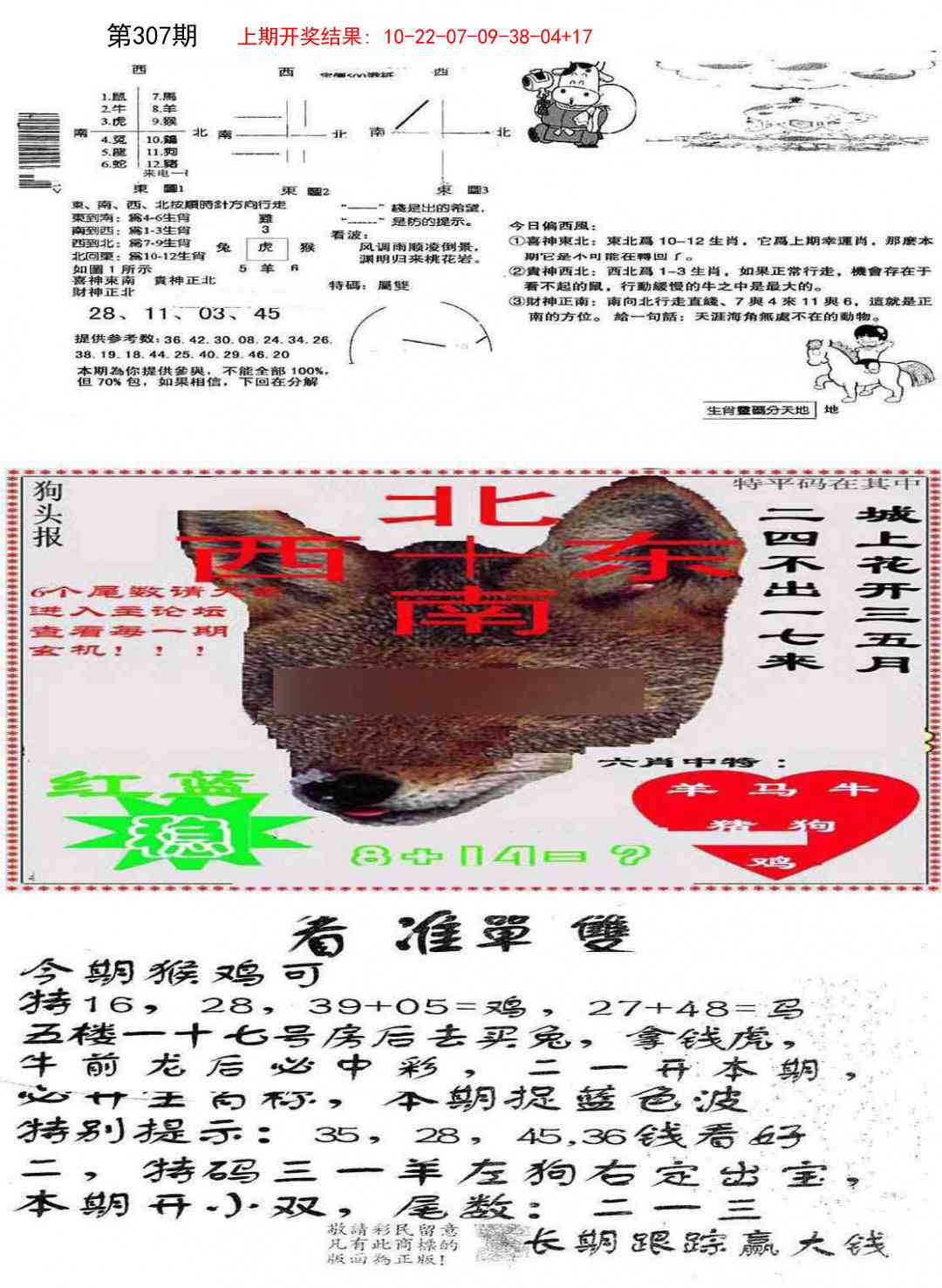 307期特码内幕B[图]