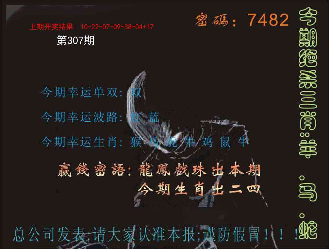 307期特码报[图]