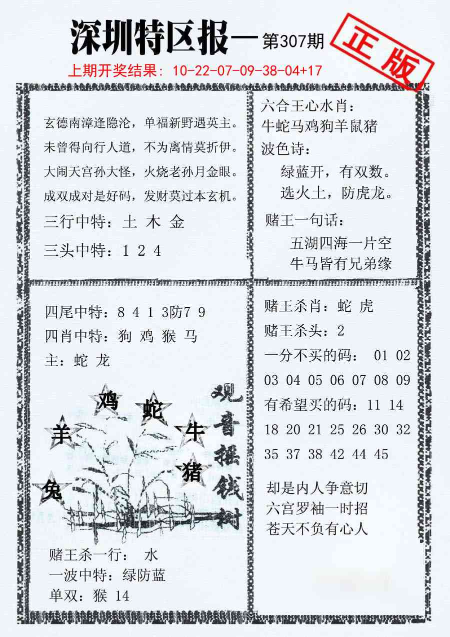 307期深圳特区报A[图]