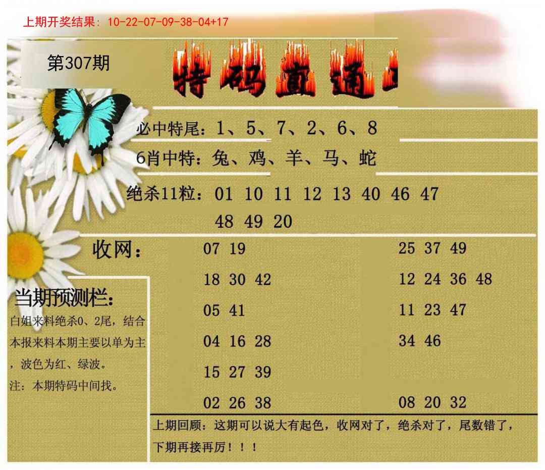 307期特码直通车[图]