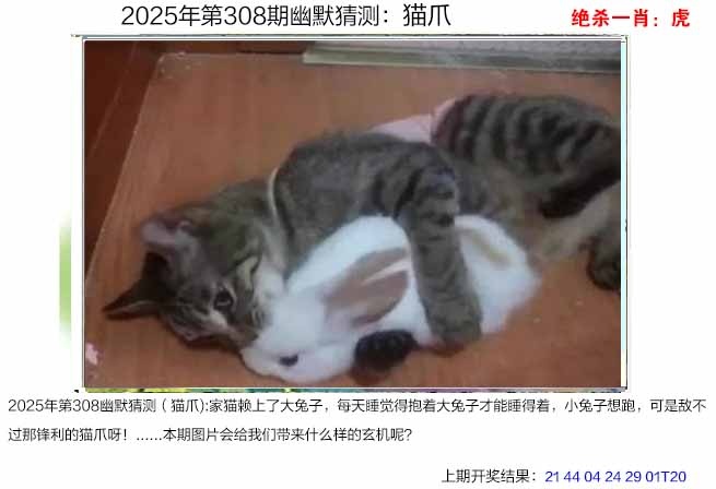 308期幽默猜测[图]