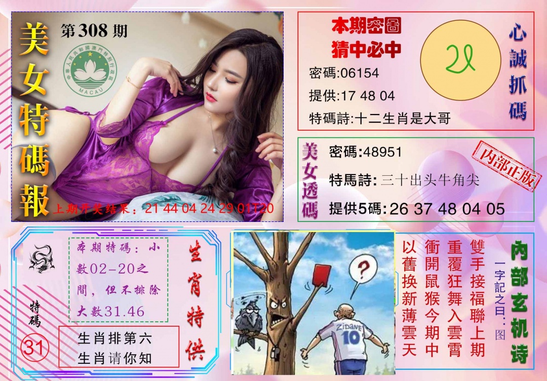 308期美女特码报[图]