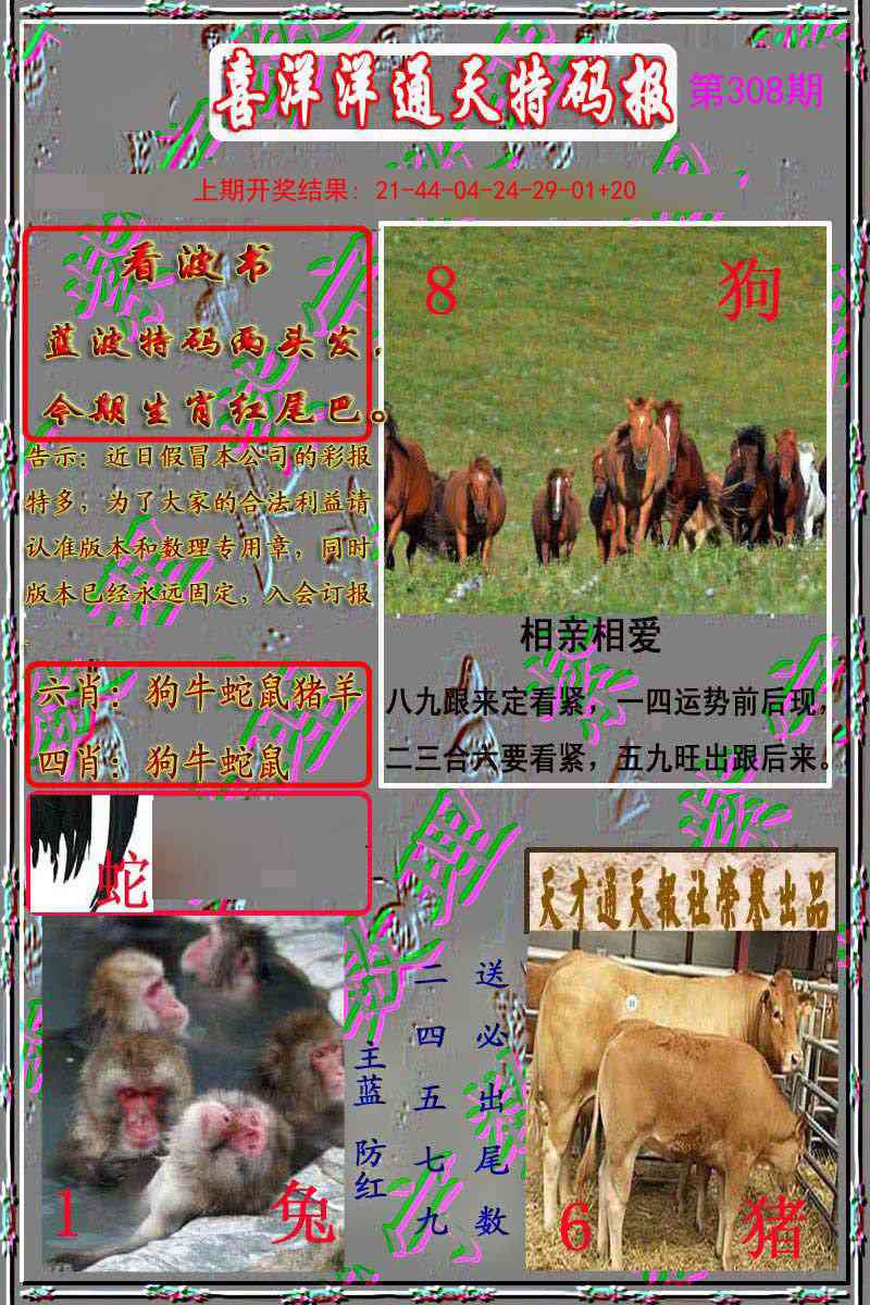 308期洋通报[图]