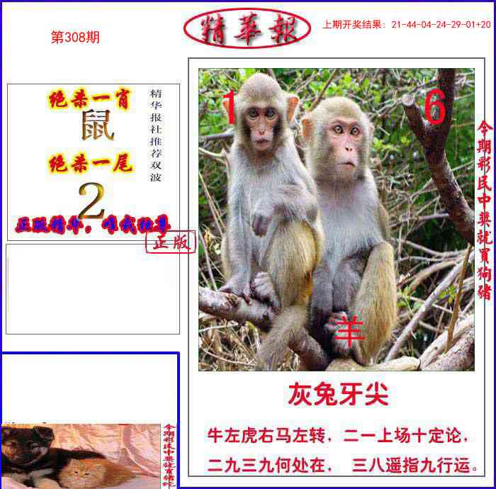 308期新精华报报[图]