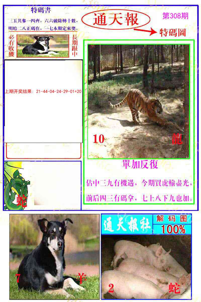308期通天特解图[图]