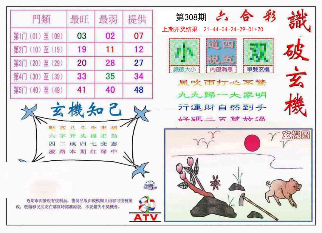 308期识破玄机[图]