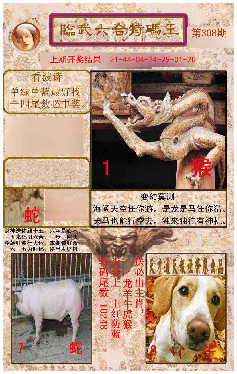 308期临武六合特码王[图]