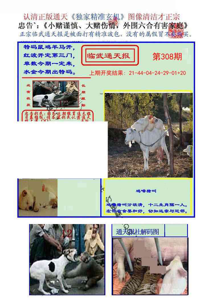 308期临武通天报[图]