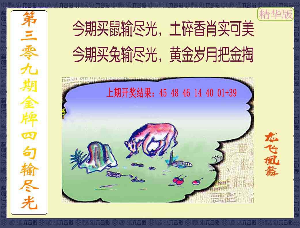 309期金牌四句输尽光[图]