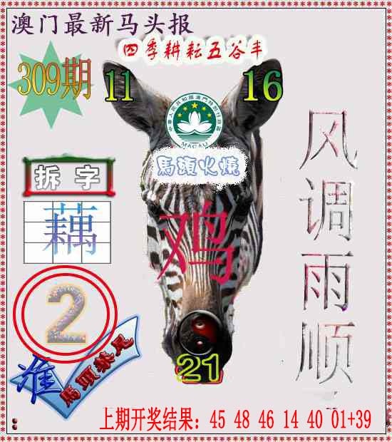 309期马头报[图]