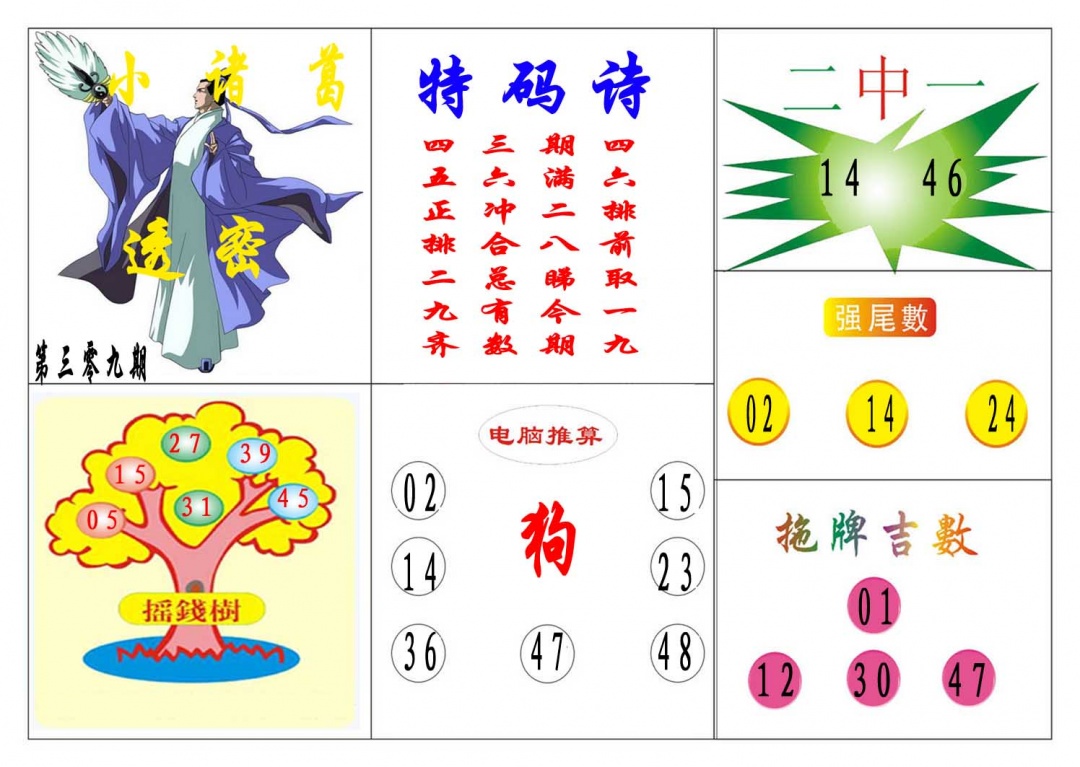 309期小诸葛[图]