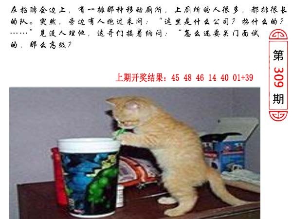 309期澳门生活幽默[图]