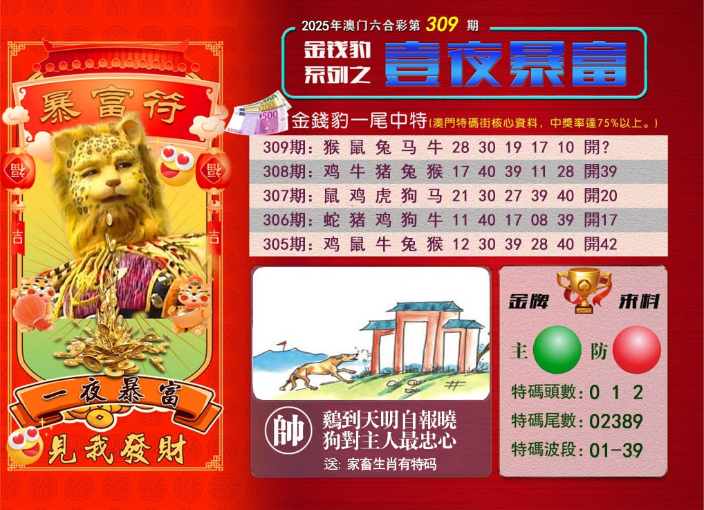 309期一夜暴富[图]