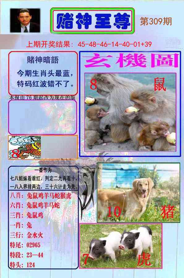 309期赌神至尊[图]