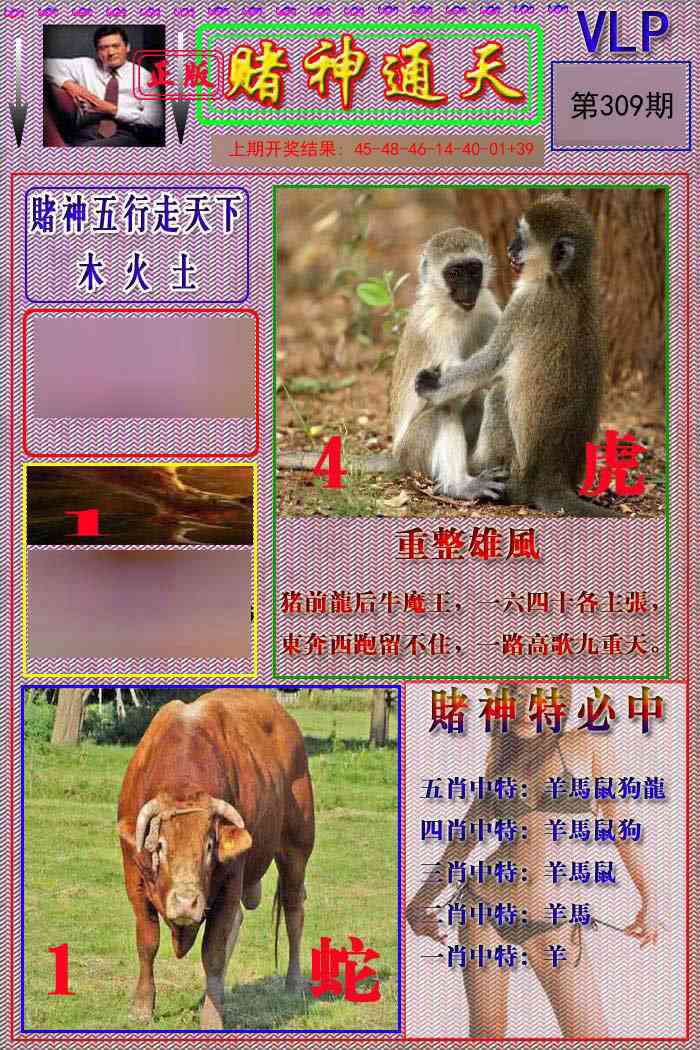 309期赌神通天报[图]