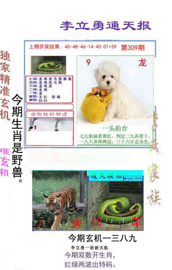 309期李立勇通天报[图]