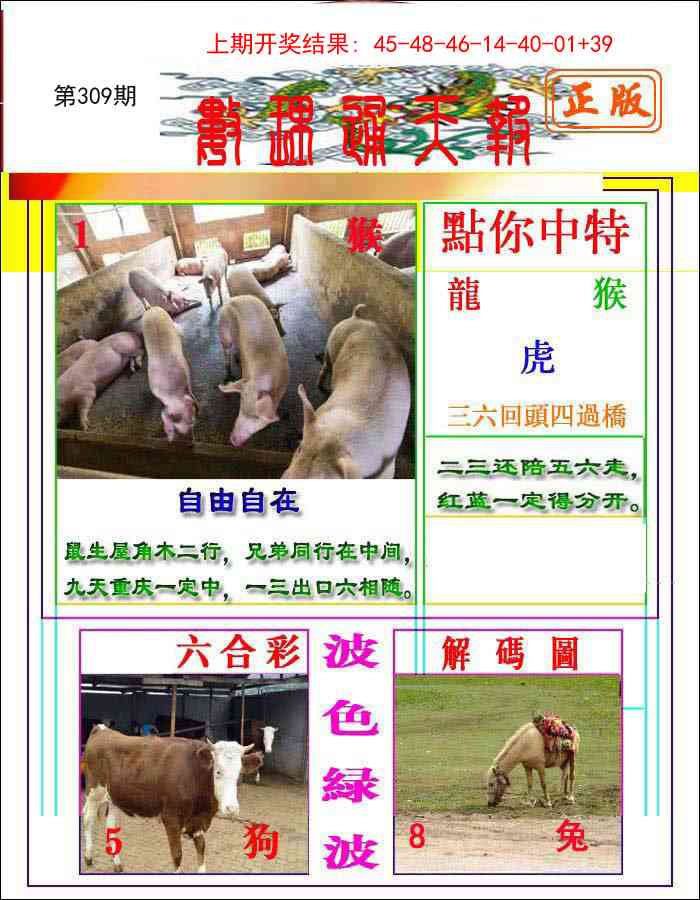 309期数理通天[图]