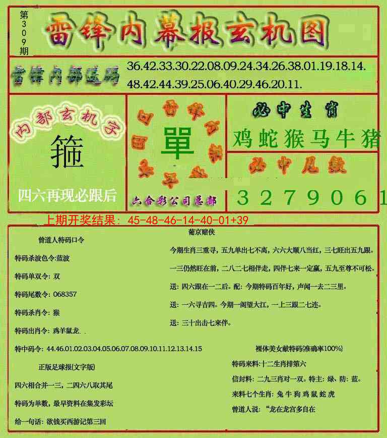 309期雷锋玄机报[图]