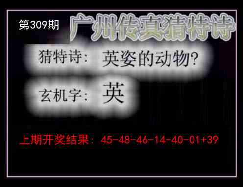 309期广州传真猜特诗[图]