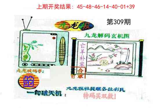 309期九龙报[图]