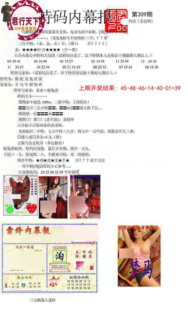 309期特码内幕报[图]