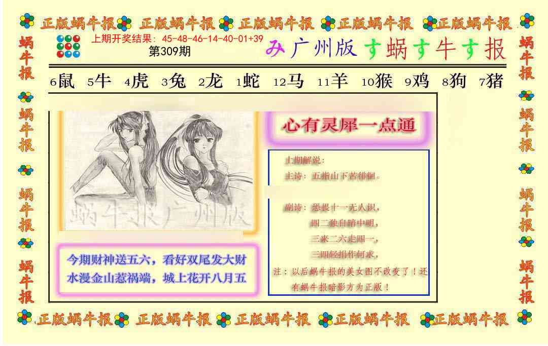 309期正版蜗牛报[图]