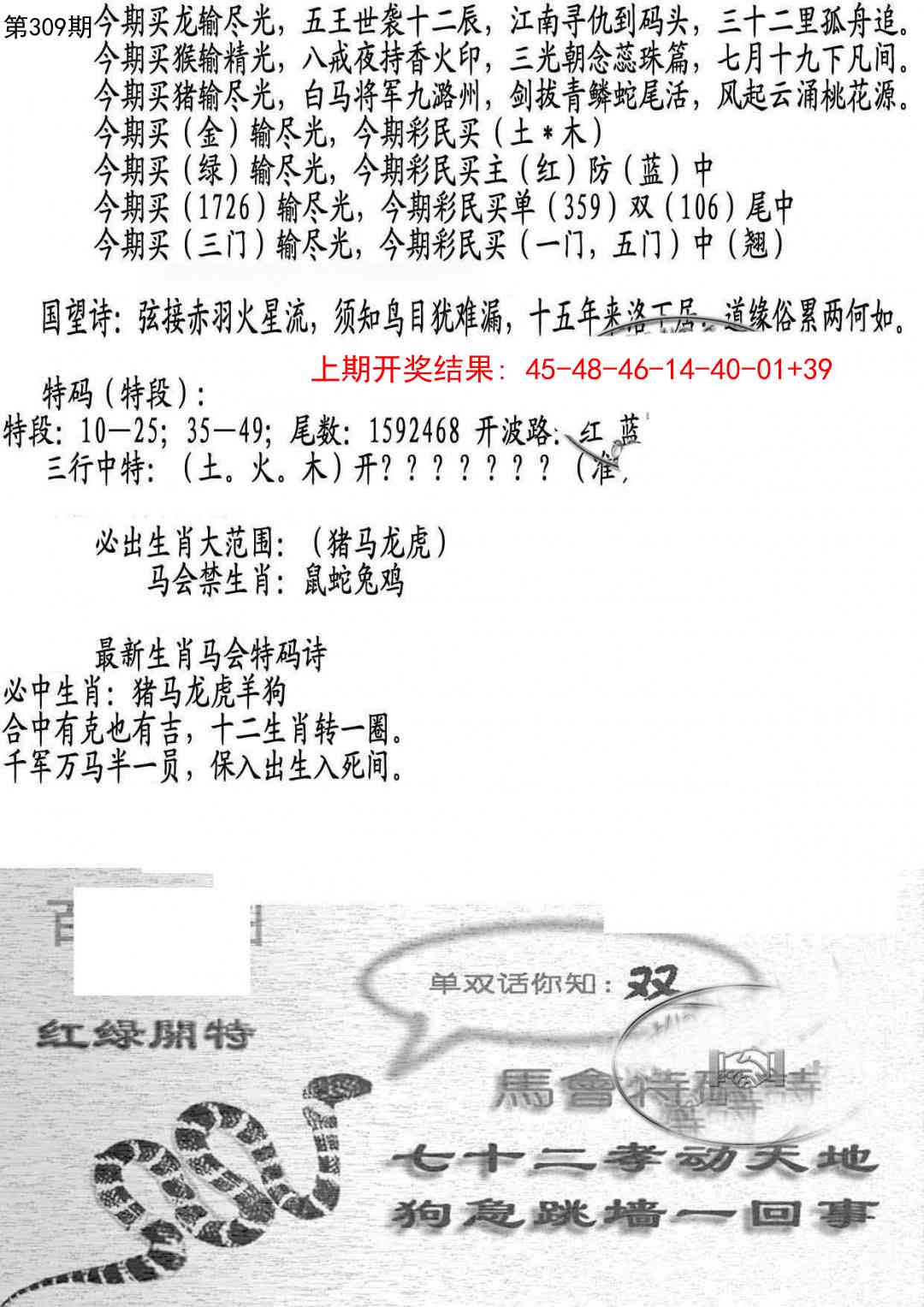 309期蛇报B[图]