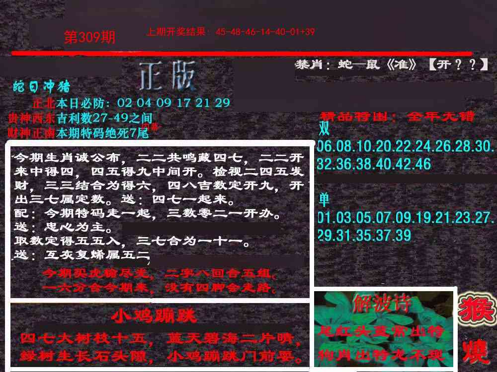 309期新港内幕[图]