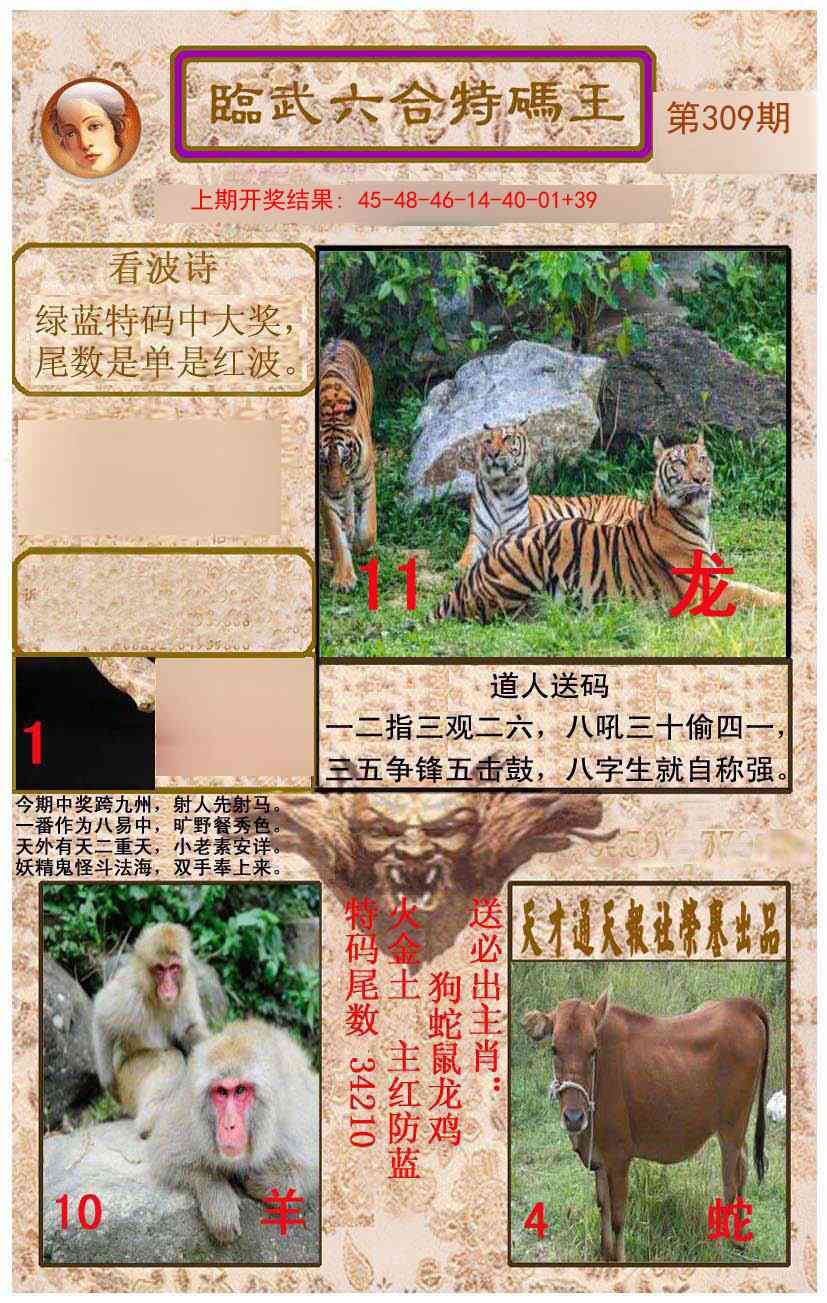 309期临武六合特码王[图]
