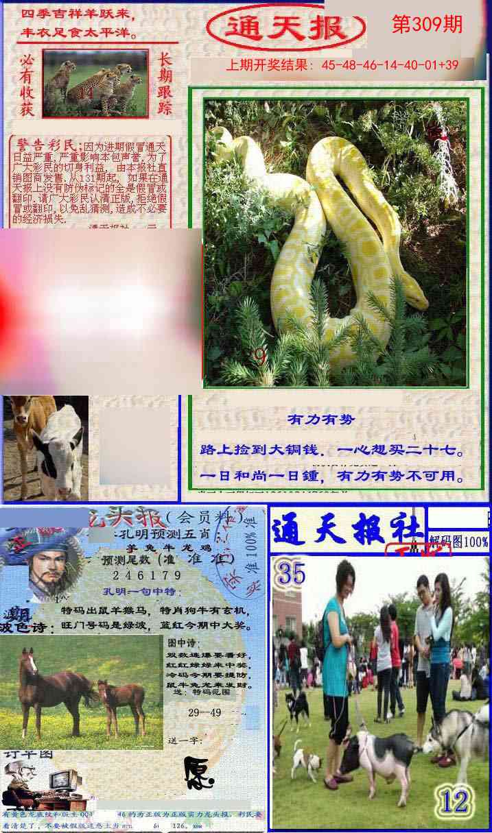 309期实力通天报[图]