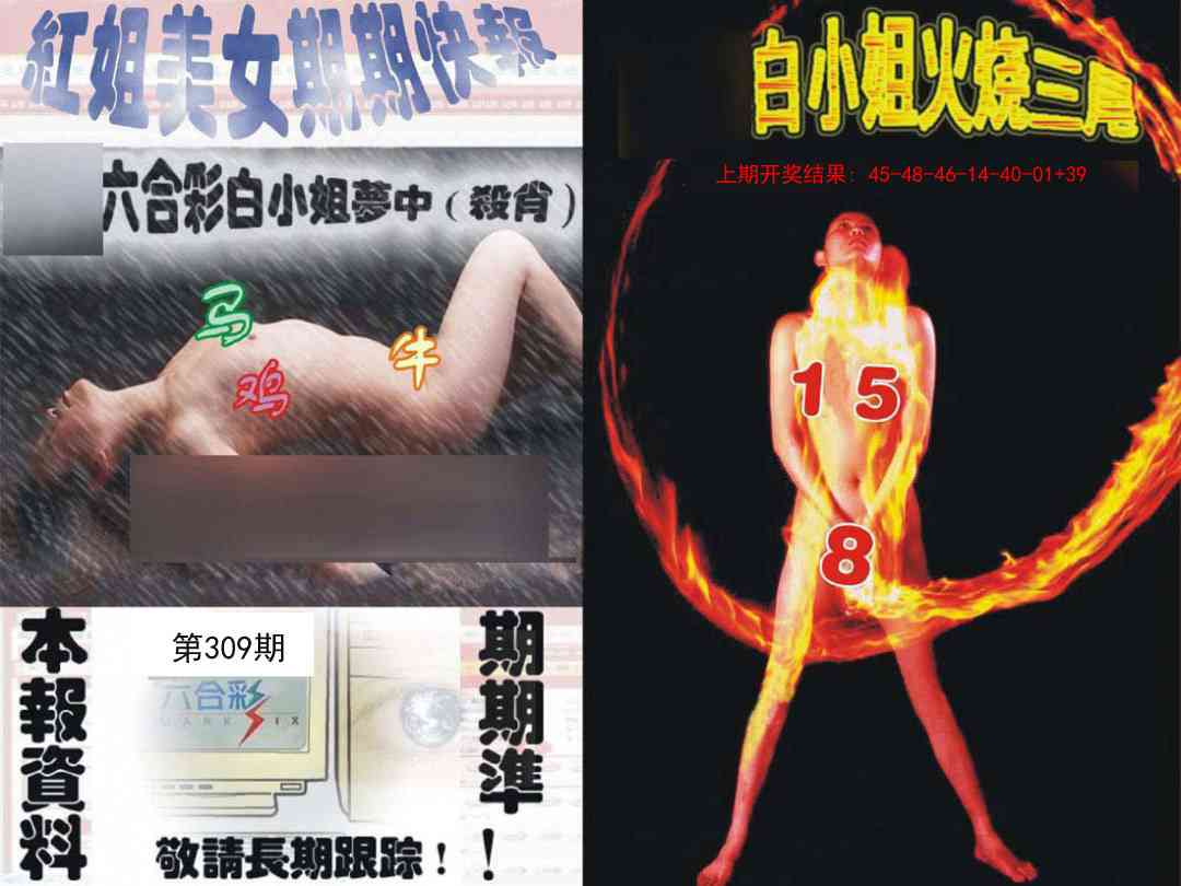 309期环球美女特码报[图]