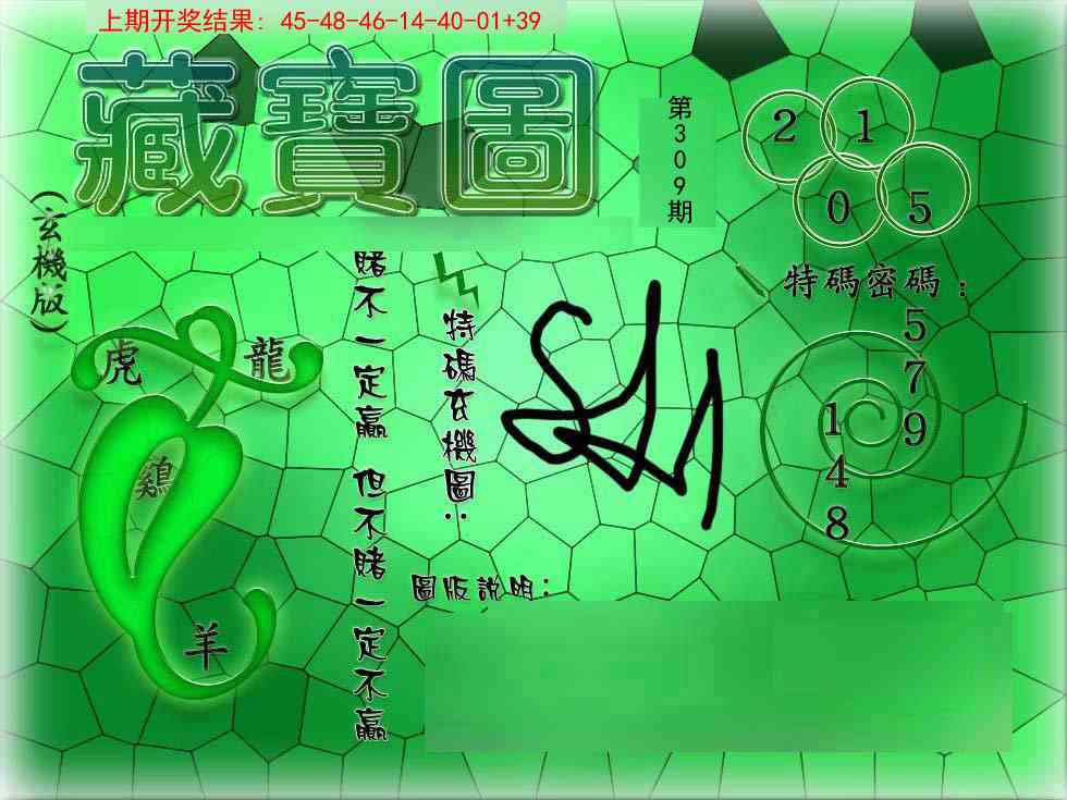 309期九龍玄机报[图]