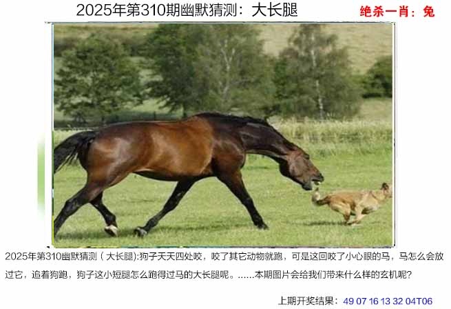 310期幽默猜测[图]